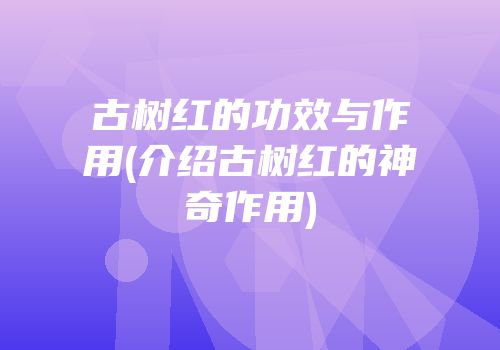 古树红的功效与作用(介绍古树红的神奇作用)