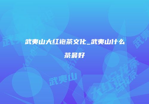 武夷山大红袍茶文化_武夷山什么茶最好