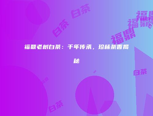 福鼎老树白茶：千年传承，珍稀茶香揭秘