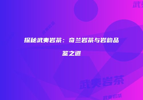 探秘武夷岩茶：奇兰岩茶与岩韵品鉴之道