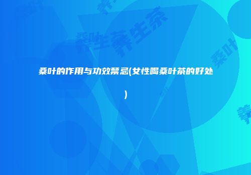 桑叶的作用与功效禁忌(女性喝桑叶茶的好处)