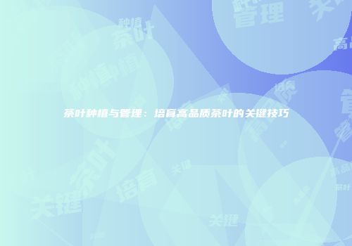 茶叶种植与管理：培育高品质茶叶的关键技巧