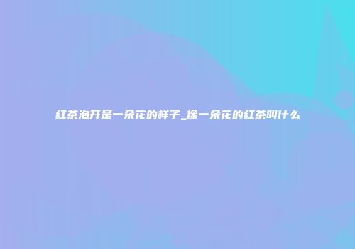 红茶泡开是一朵花的样子_像一朵花的红茶叫什么