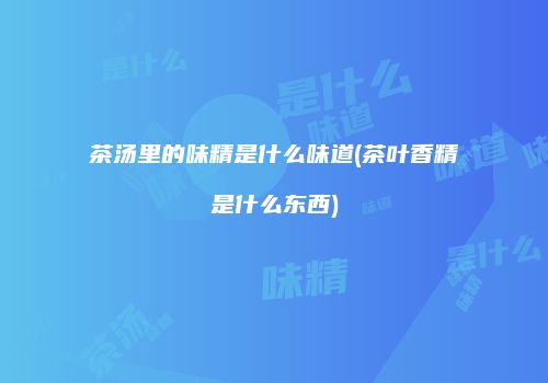 茶汤里的味精是什么味道(茶叶香精是什么东西)