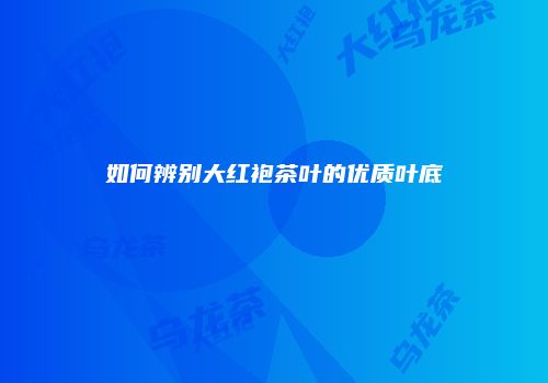 如何辨别大红袍茶叶的优质叶底
