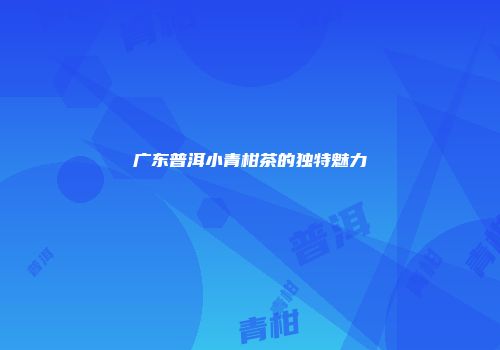 广东普洱小青柑茶的独特魅力