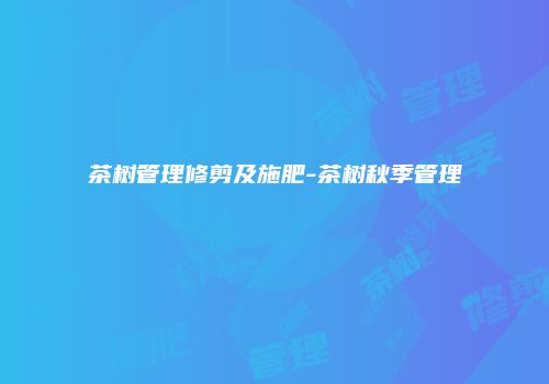 茶树管理修剪及施肥-茶树秋季管理