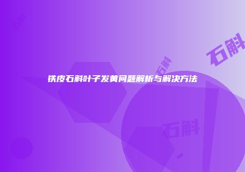 铁皮石斛叶子发黄问题解析与解决方法