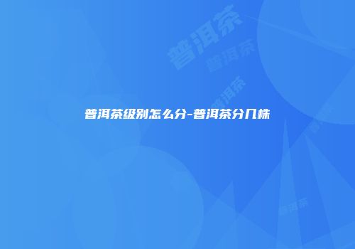 普洱茶级别怎么分-普洱茶分几株