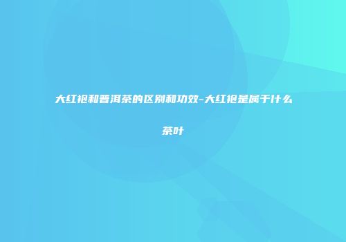 大红袍和普洱茶的区别和功效-大红袍是属于什么茶叶