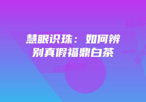 慧眼识珠：如何辨别真假福鼎白茶