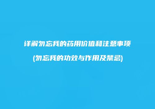 详解勿忘我的药用价值和注意事项(勿忘我的功效与作用及禁忌)