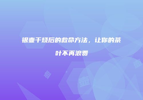 银壶干烧后的救命方法，让你的茶叶不再浪费