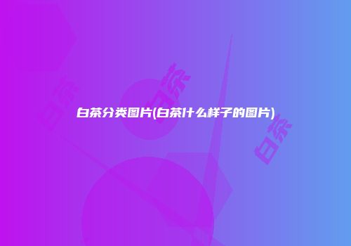 白茶分类图片(白茶什么样子的图片)
