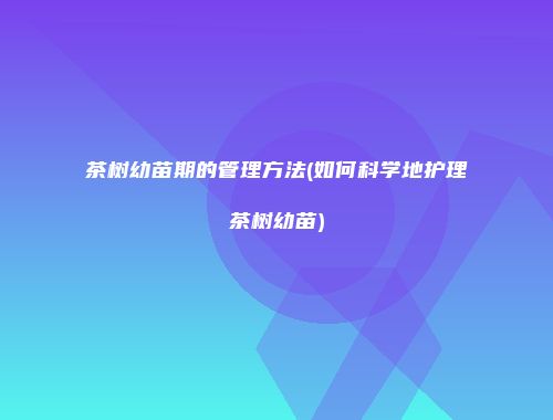茶树幼苗期的管理方法(如何科学地护理茶树幼苗)