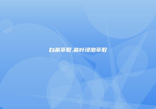 白茶萃取,茶叶浸泡萃取