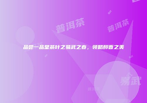 品尝一品堂茶叶之易武之春，领略醇香之美