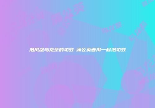 泡凤凰乌龙茶的功效-蒲公英普洱一起泡功效