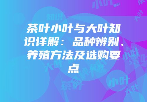 茶叶小叶与大叶知识详解：品种辨别、养殖方法及选购要点