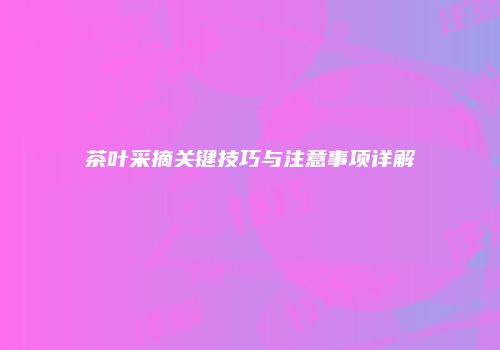 茶叶采摘关键技巧与注意事项详解