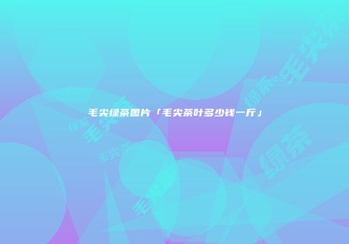 毛尖绿茶图片「毛尖茶叶多少钱一斤」