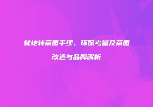 林地转茶园手续、环保考量及茶园改造与品牌解析
