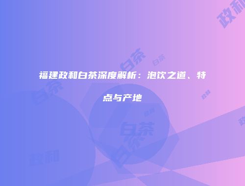 福建政和白茶深度解析：泡饮之道、特点与产地