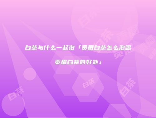 白茶与什么一起泡「贡眉白茶怎么泡喝贡眉白茶的好处」