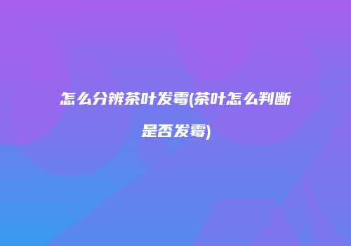 怎么分辨茶叶发霉(茶叶怎么判断是否发霉)