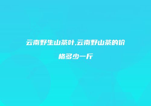 云南野生山茶叶,云南野山茶的价格多少一斤