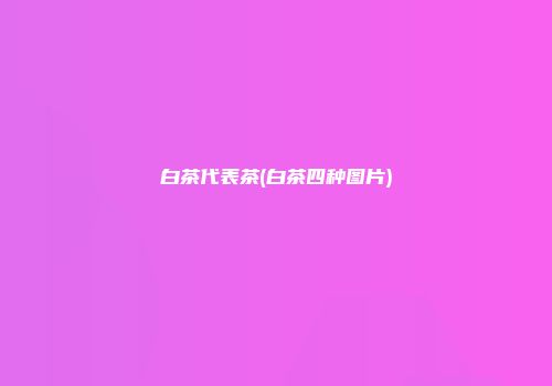白茶代表茶(白茶四种图片)