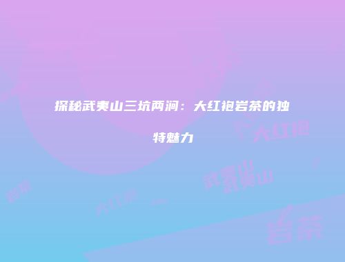 探秘武夷山三坑两涧：大红袍岩茶的独特魅力