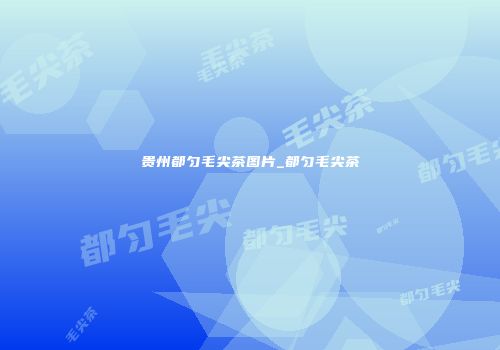 贵州都匀毛尖茶图片_都匀毛尖茶