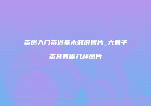 茶道入门茶道基本知识图片_六君子茶具有哪几样图片