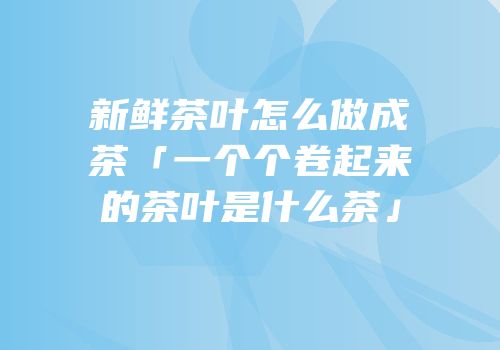 新鲜茶叶怎么做成茶「一个个卷起来的茶叶是什么茶」