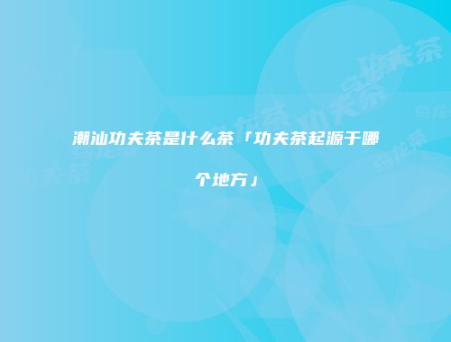 潮汕功夫茶是什么茶「功夫茶起源于哪个地方」