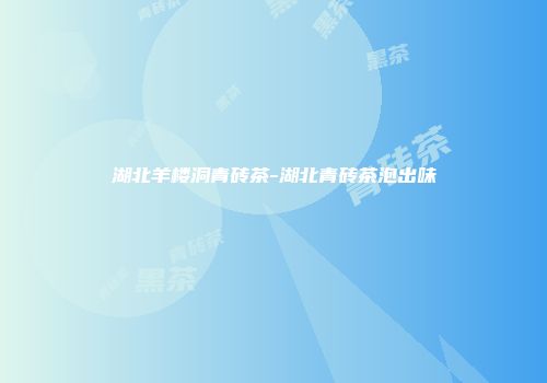 湖北羊楼洞青砖茶-湖北青砖茶泡出味