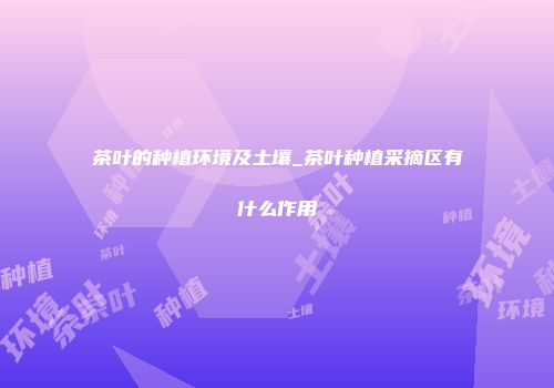 茶叶的种植环境及土壤_茶叶种植采摘区有什么作用