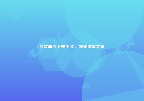 品尝陕西上等毛尖，感受茶香之美