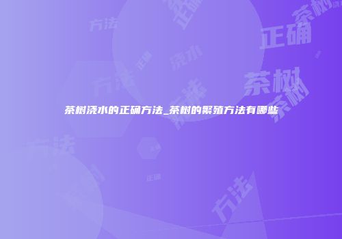 茶树浇水的正确方法_茶树的繁殖方法有哪些