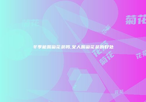冬季能喝菊花茶吗,女人喝菊花茶的好处