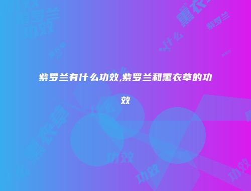 紫罗兰有什么功效,紫罗兰和熏衣草的功效