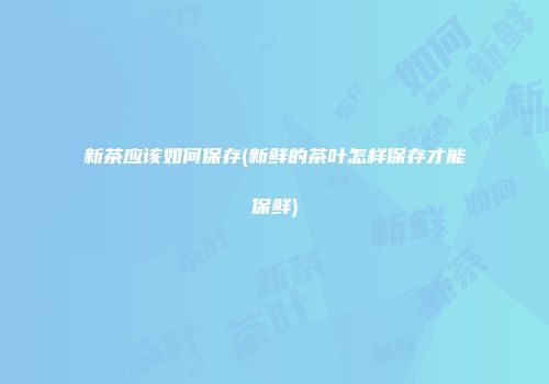 新茶应该如何保存(新鲜的茶叶怎样保存才能保鲜)