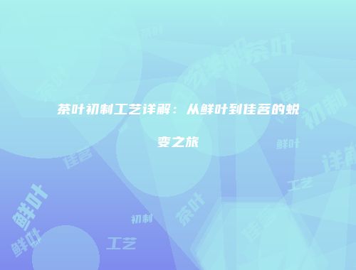 茶叶初制工艺详解：从鲜叶到佳茗的蜕变之旅