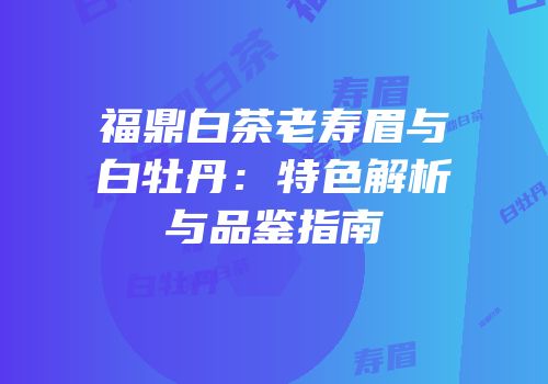 福鼎白茶老寿眉与白牡丹：特色解析与品鉴指南