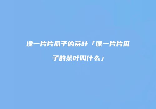 像一片片瓜子的茶叶「像一片片瓜子的茶叶叫什么」