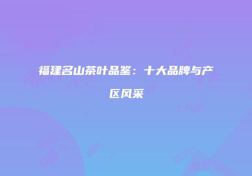福建名山茶叶品鉴：十大品牌与产区风采