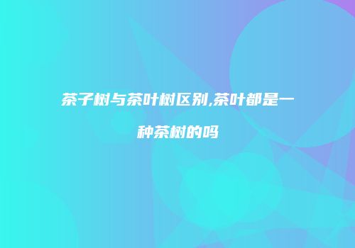 茶子树与茶叶树区别,茶叶都是一种茶树的吗