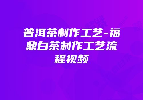 普洱茶制作工艺-福鼎白茶制作工艺流程视频