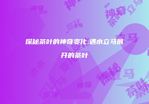 探秘茶叶的神奇变化,遇水立马展开的茶叶